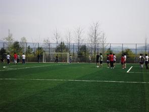 2014 합동 체육대회