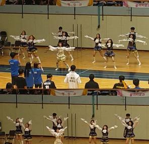 2016 체육대회 응원전